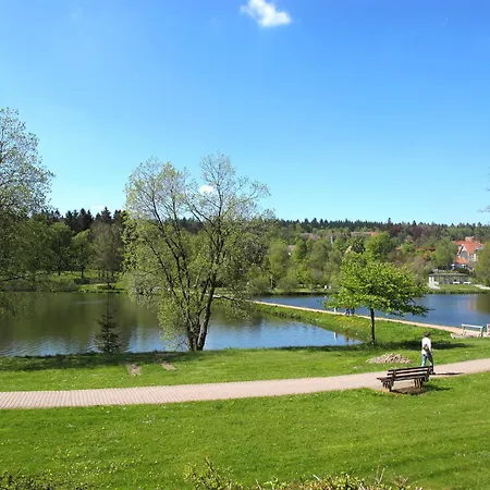 Apartamento Bocksbergperle 2 By Interhome Goslar